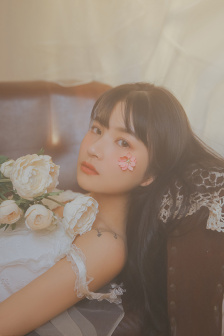海贼王女帝被海军h